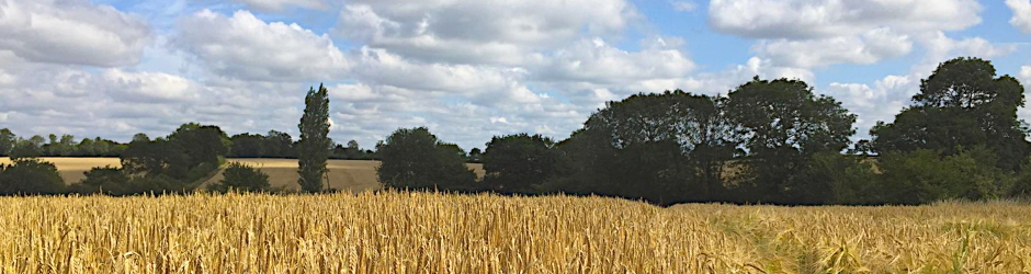 Christmas Lane, Metfield